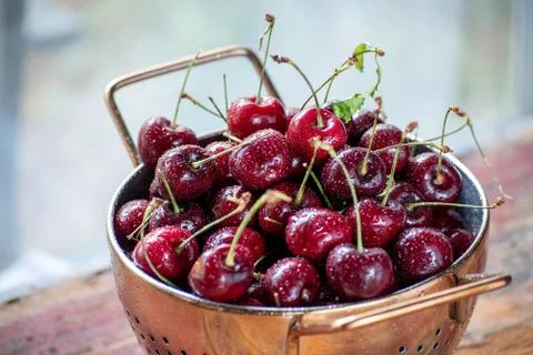 Fresh cherries in copper strainer on rustic farmhouse table Stock Photos