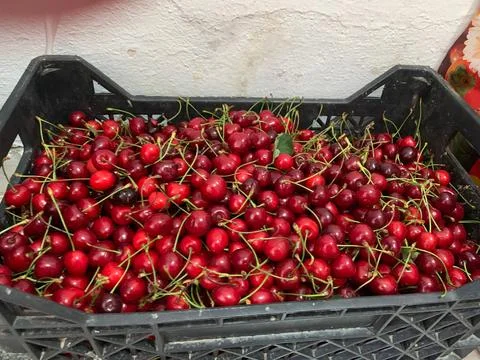  Fresh Cherries in a Crate Stock Photos