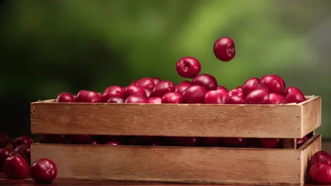 Fresh cherries falling in slow motion Stock Footage 156809610