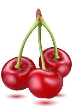 Fresh cherries Illustrazione stock