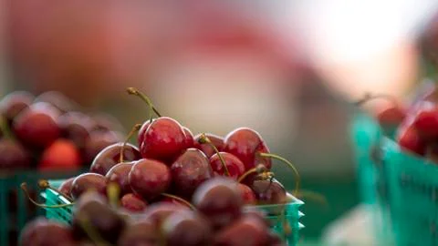 Fresh Cherries Stock-Fotos