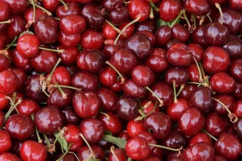 Fresh cherries Foto stock