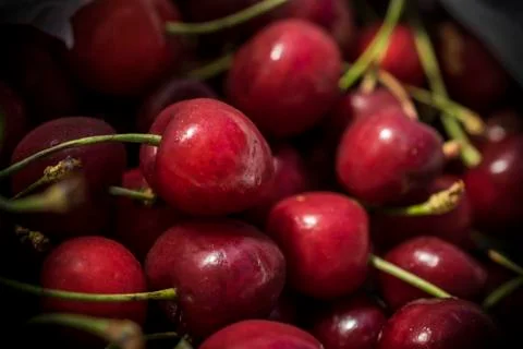 Fresh Cherries Stock Photos