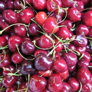 Fresh Cherries Stock Photos