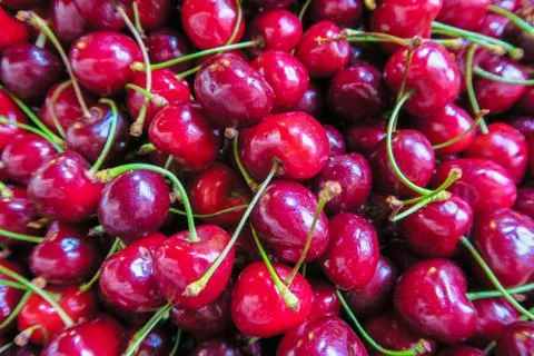 Fresh Cherries Stock Photos
