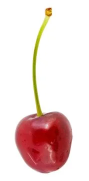 Fresh cherries Stock Photos