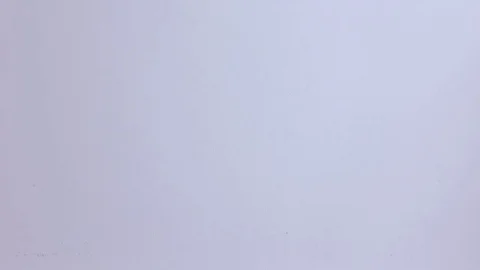 Fresh cherries roll down on the white background. Stock Footage 77212052