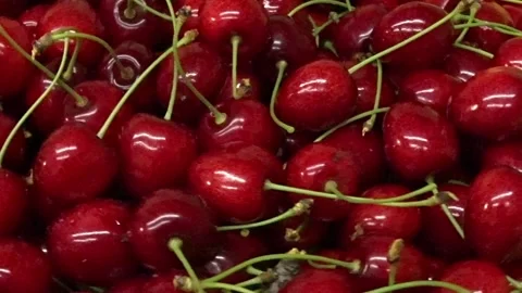 Fresh cherries slowly rotating on white background Stock Footage 336720461