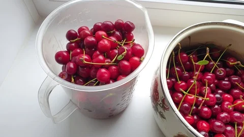 Fresh cherry berries. Cherries Cherry harvest Stock Footage 112613081
