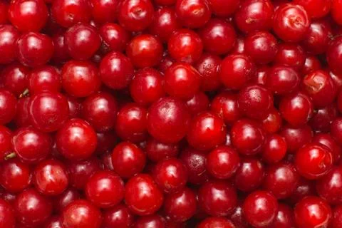 Fresh cherry berry background Stock Photos
