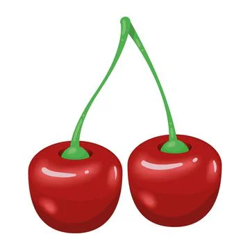 Fresh cherry fruit healthy Stock Illustration
