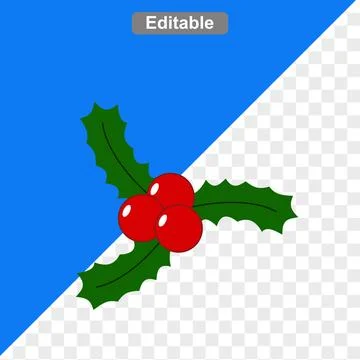 Fresh cherry fruit Stock Illustration