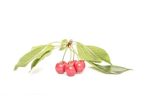 Fresh cherry fruit on white background. Stockfoto's