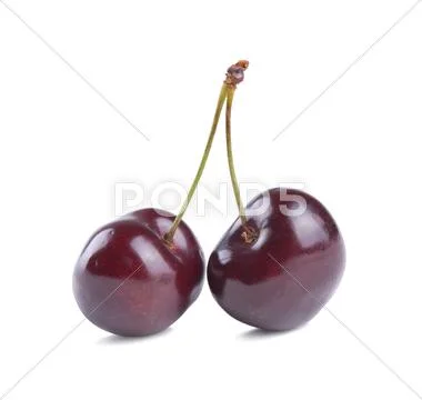 Fresh cherry Stock Photos
