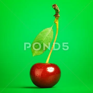 Fresh cherry Stock Photos