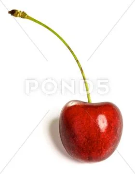 Fresh cherry Stock Photos