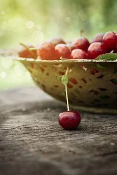 Fresh cherry Stock Photos