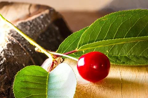 Fresh cherry Stock Photos