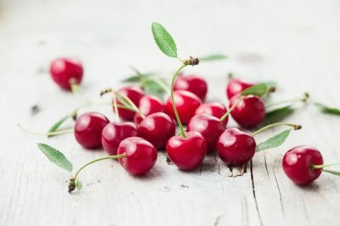 Fresh Cherry Stock Photos