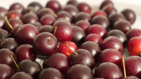 Fresh cherry plum slow tilt Stock Footage