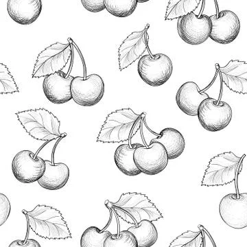 Fresh cherry seamless pattern. Summer berry food sketch backgrou Stock Illustration