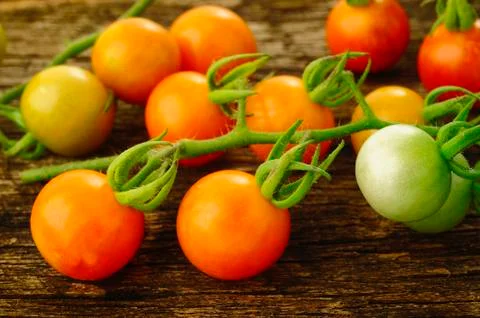 Fresh cherry tomato Stock Photos