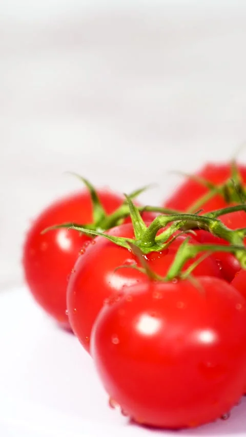 Fresh cherry tomato in white background vertical video Stock Footage 281843651
