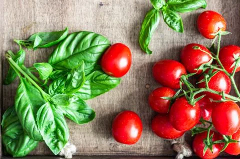 Fresh cherry tomatoes and basil on a dark background. Stock Photos