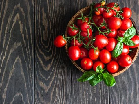 Fresh cherry tomatoes and basil on a dark background. Stock Photos
