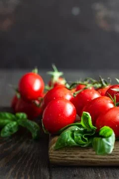 Fresh cherry tomatoes and basil on a dark background. Stock Photos