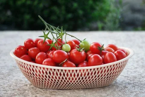 Fresh cherry tomatoes in a basket on a light background Stock Photos