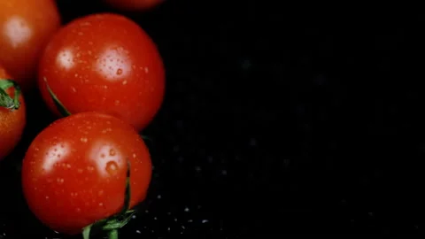 Fresh cherry tomatoes on a black background with water drops close-up. Rotation Видео 144254118