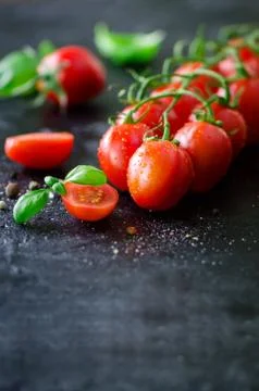 Fresh cherry tomatoes on black background with basil, spices. Copy space. Stock Photos