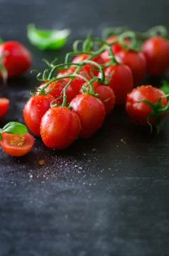 Fresh cherry tomatoes on black background with basil, spices. Copy space. Stock Photos