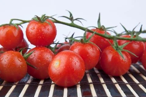 Fresh cherry tomatoes on the branch Stock Photos