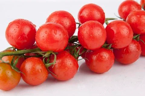Fresh cherry tomatoes on the branch Stock Photos
