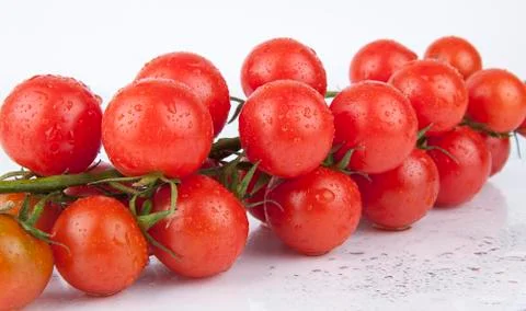 Fresh cherry tomatoes on the branch Stock Photos
