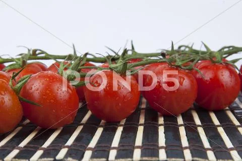 Fresh Cherry Tomatoes on the branch Stock Photos