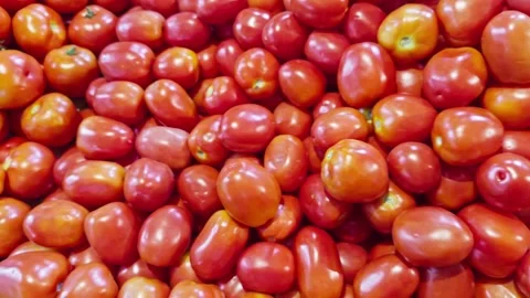Fresh cherry tomatoes in bulk selling in local market vibrant red ripe and .. Video stock 264617569