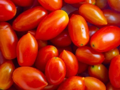 Fresh cherry tomatoes close-up Stock Photos