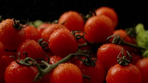 Fresh cherry tomatoes Stock Footage 149129766