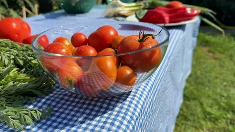 Fresh Cherry Tomatoes Stock Footage 313363582