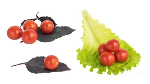 Fresh cherry tomatoes isolated Stock Photos