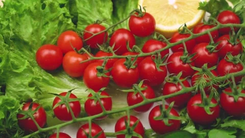 Fresh Cherry Tomatoes Lemon Lettuce Leaves, Fresh Healthy Vegetables and Greens  Stock Footage 217431613