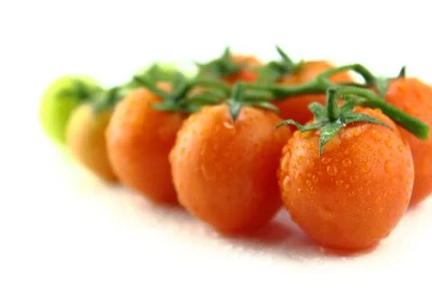 Fresh cherry tomatoes Stock Photos