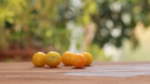 Fresh cherry tomatoes roll around healthy vegetables on wooden cutting board Stock Footage 73657556