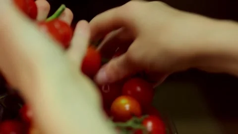 Fresh Cherry Tomatoes on Vine. Stock Footage 305808582