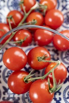 Fresh Cherry Tomatoes on the Vine Stock Photos
