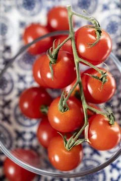 Fresh Cherry Tomatoes on the Vine Stock Photos