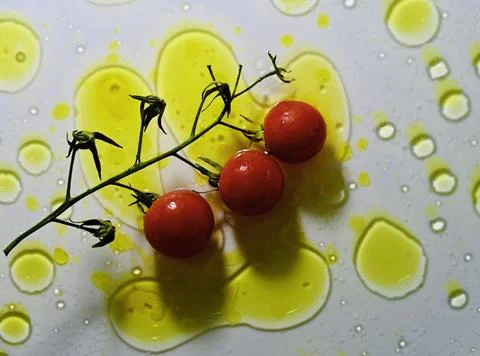 Fresh cherry tomatoes on a vine surrounded by olive oil drops on a white Stock Photos